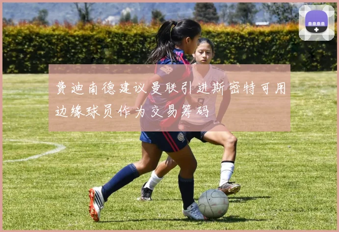 费迪南德建议曼联引进斯密特可用边缘球员作为交易筹码